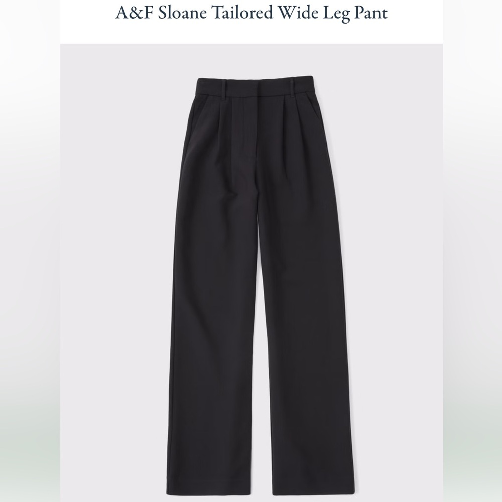 A&F Sloane Tailored Wide Leg Pant